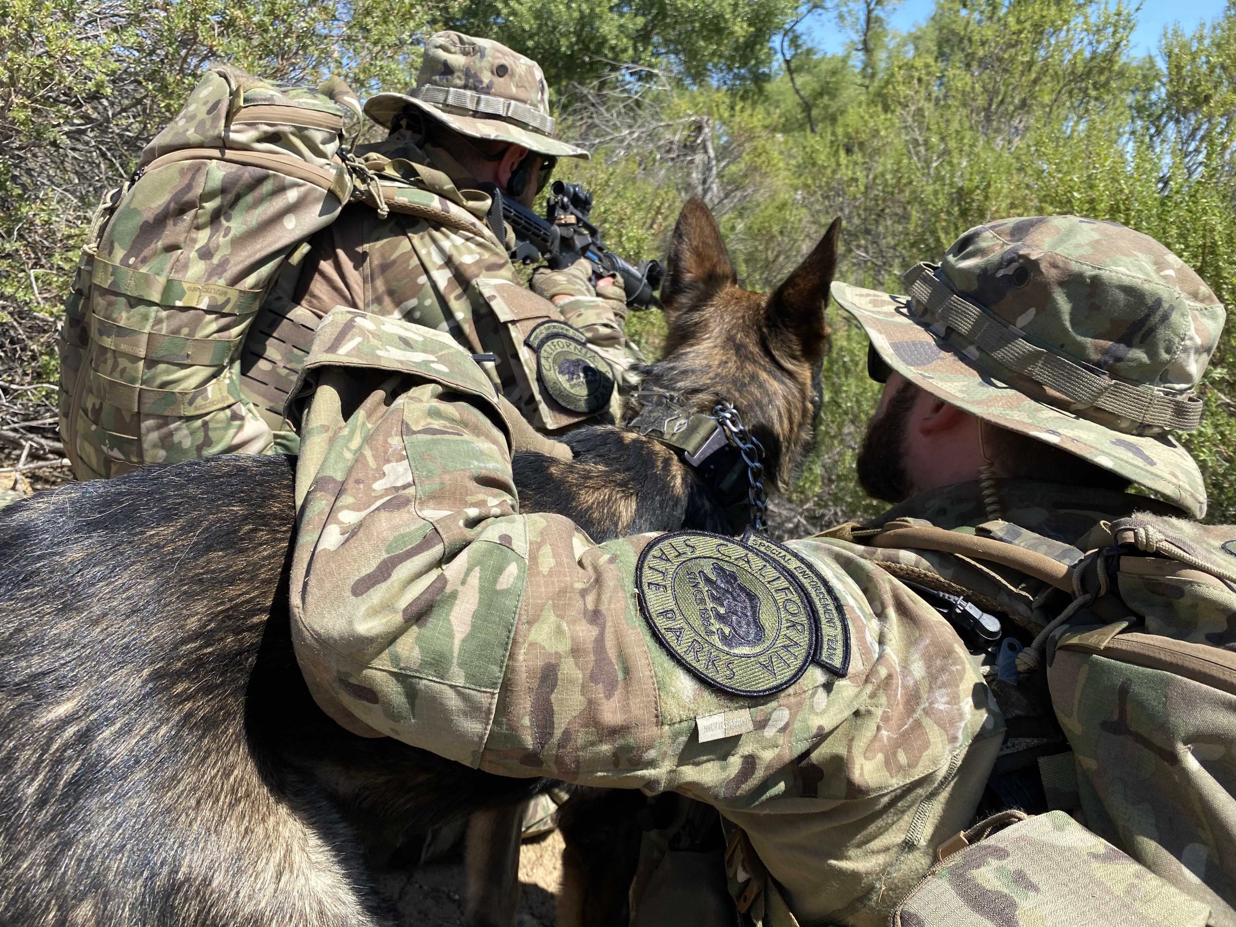 2 Officers and K-9